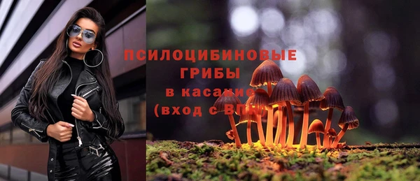 винт Арсеньев
