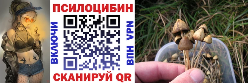 маркетплейс состав  Аткарск  Галлюциногенные грибы Psilocybe  наркота 
